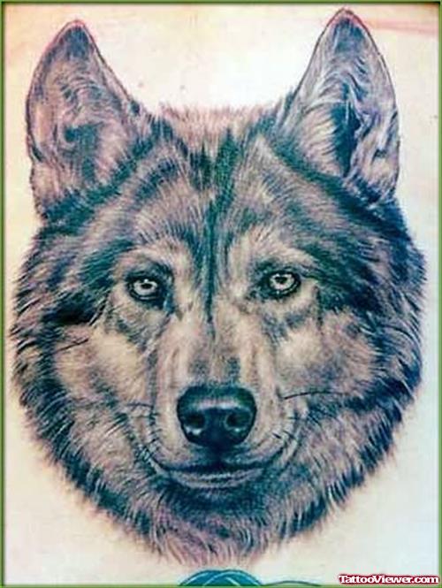 Favorite Dog Tattoo Image