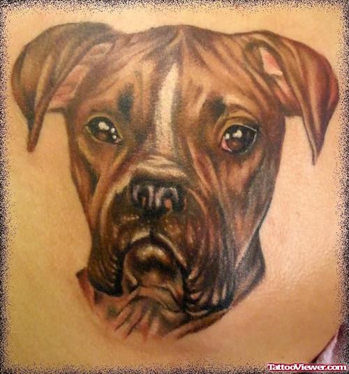 Enjoyed the Dog Tattoos