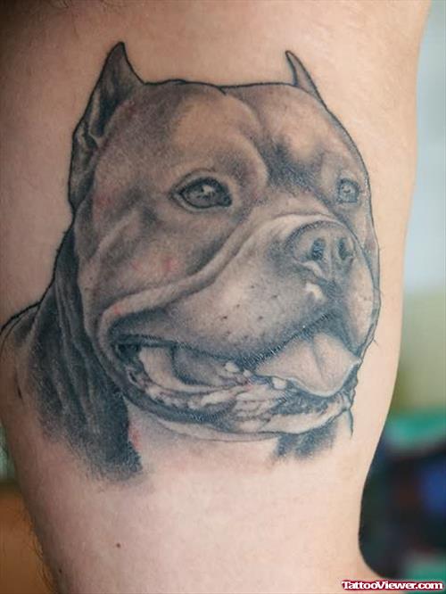 Dog Tattoos - Leash & Paws