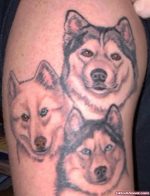 Shoulder Tattoo of Three Dogs
