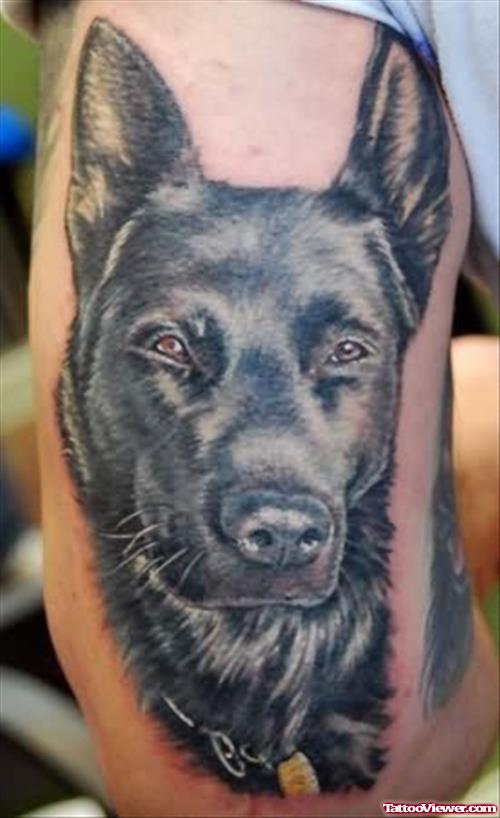 Sad Dog Tattoo
