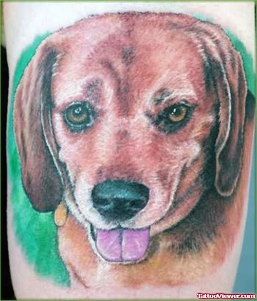 Looking for unique Color Tattoos