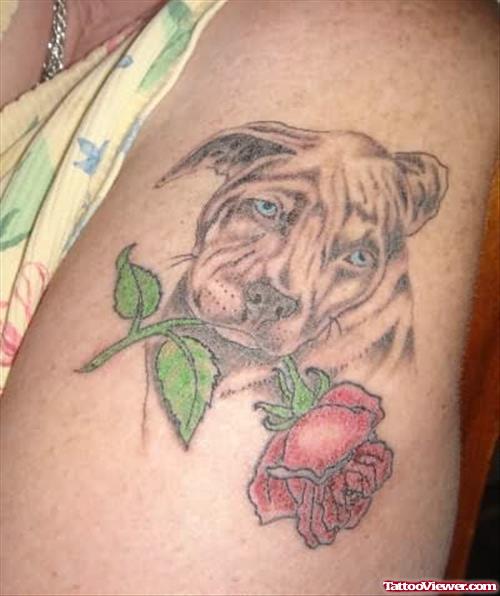 Dog With Rose Tattoo