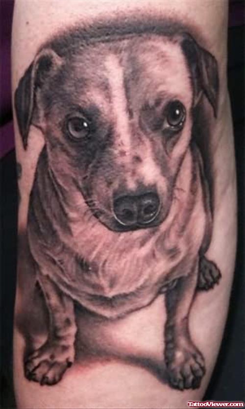 Dog Tattoo Of the Day