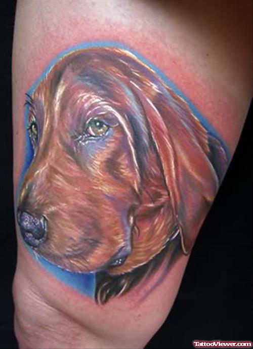 Dog Coloured Tattoo