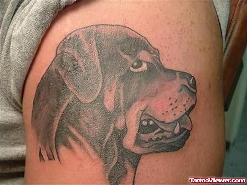 Dog Face Tattoo On Biceps
