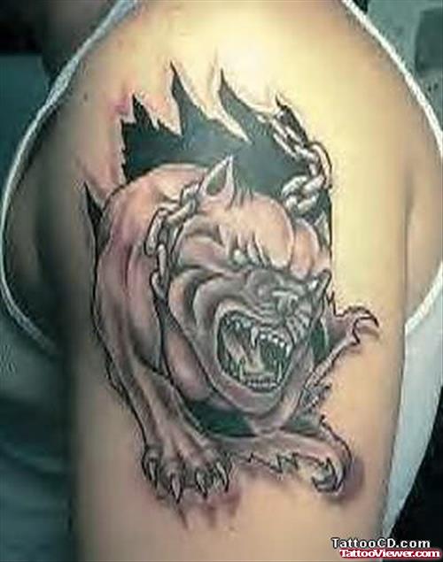 Dangerous Dog Tattoo On Shoulder