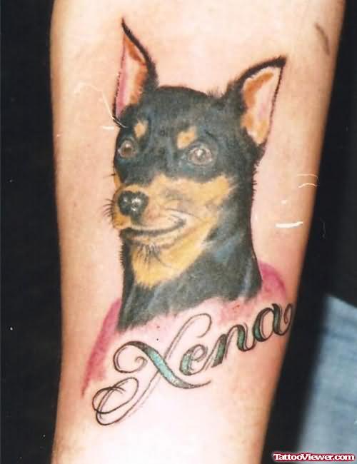 Black Dog Tattoo Picture Gallery