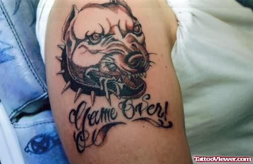 Angry Dog Tattoo Picture