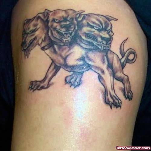 Three Heads Dog Tattoo