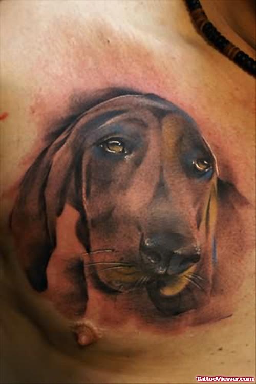 Nature Animal Dog Tattoos
