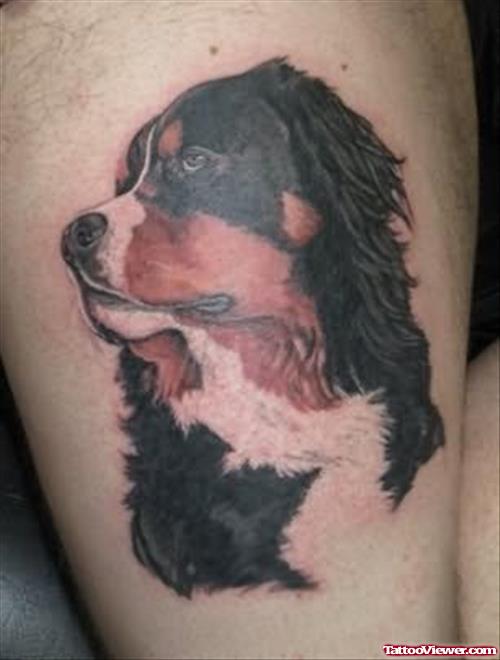 Dog Tattoos On Body
