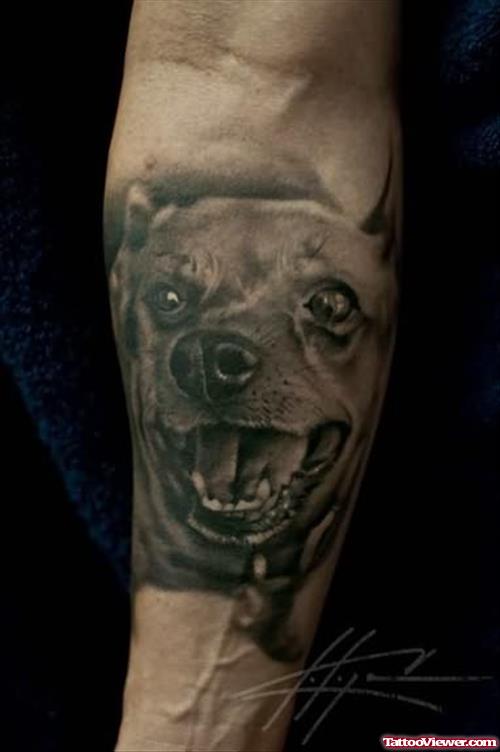 Dog Portrait tattoo On Arm