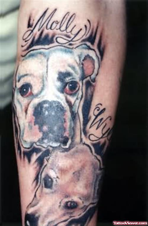 Carton Dog Tattoo On Arm
