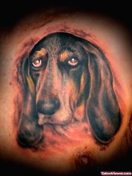 Best Tattoos of Dogs
