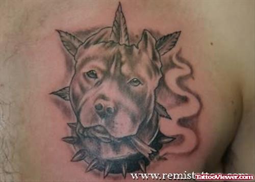 Animal - Dog Tattoo On Chest