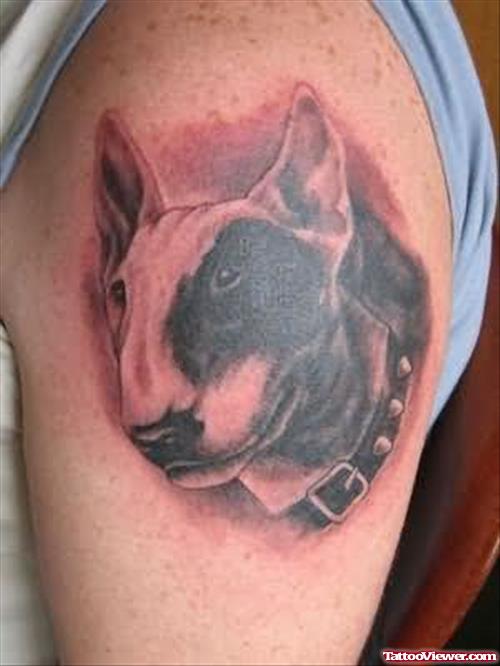 Dog Tattoos For Bicep