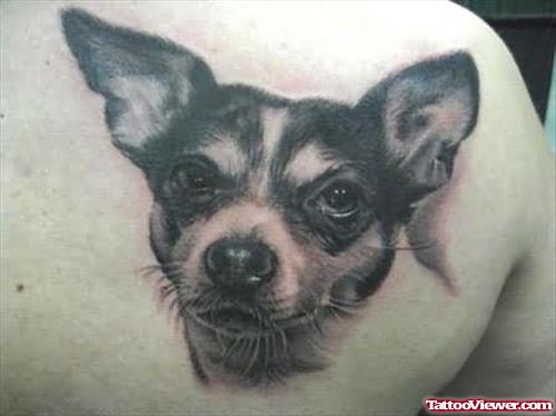 Dog Tattoo Latest Style