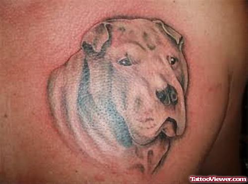 Dog Face Tattoo Designs
