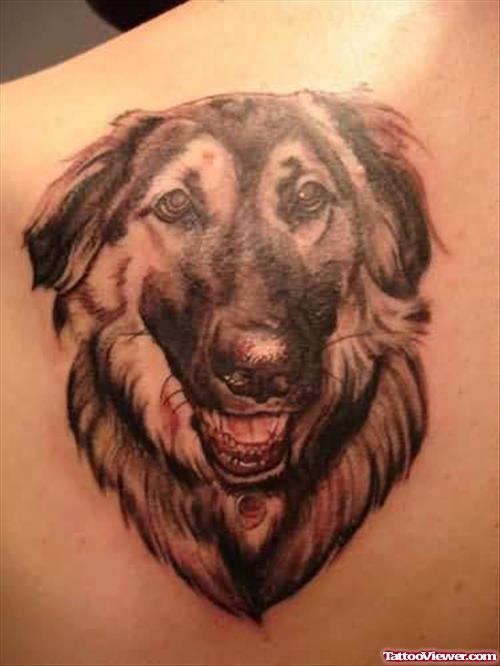 Chris Pchelka - Realistic Dog Portrait Tattoo