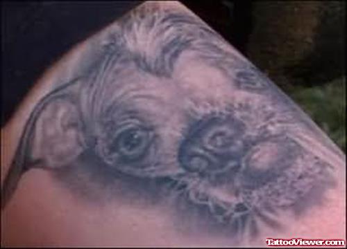 Ugly Dog Tattoo