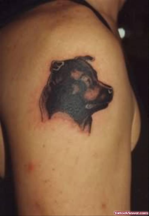 Little Dog Face Tattoo