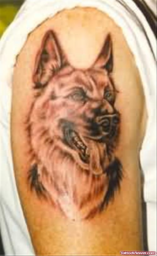 German Shepherd Dog Tattoo