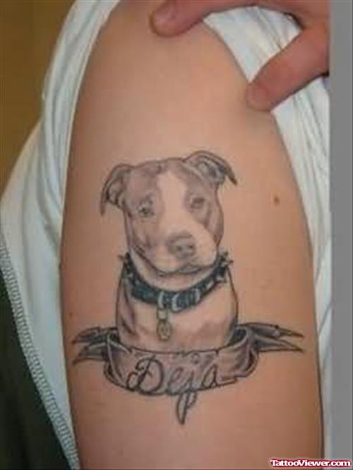 Elegant Dog Tattoo On Bicep