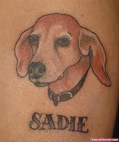 Dog Tattoo Design On Body