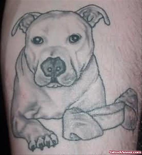 Dog And Bone Tattoo
