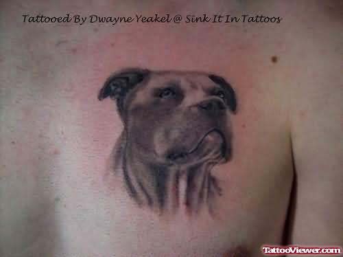 Bull Dog Tattoo On Chest