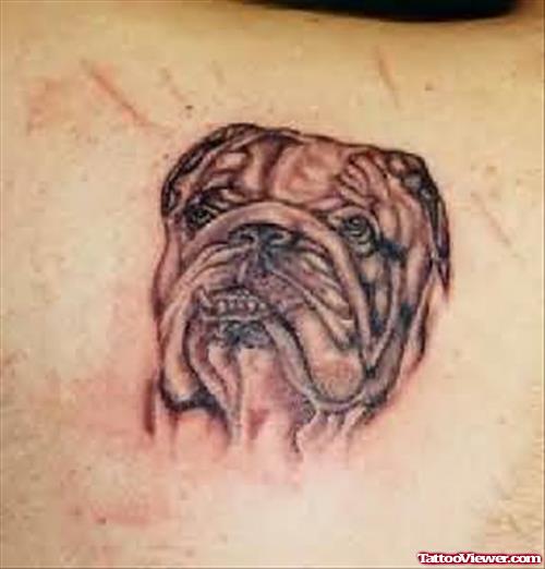 Bull Dog Head Tattoo