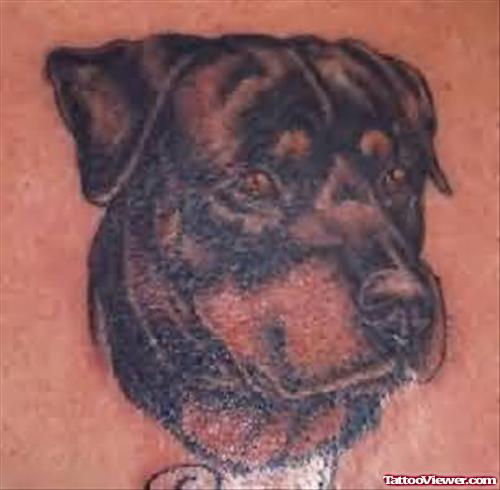 Black Face Dog Tattoo