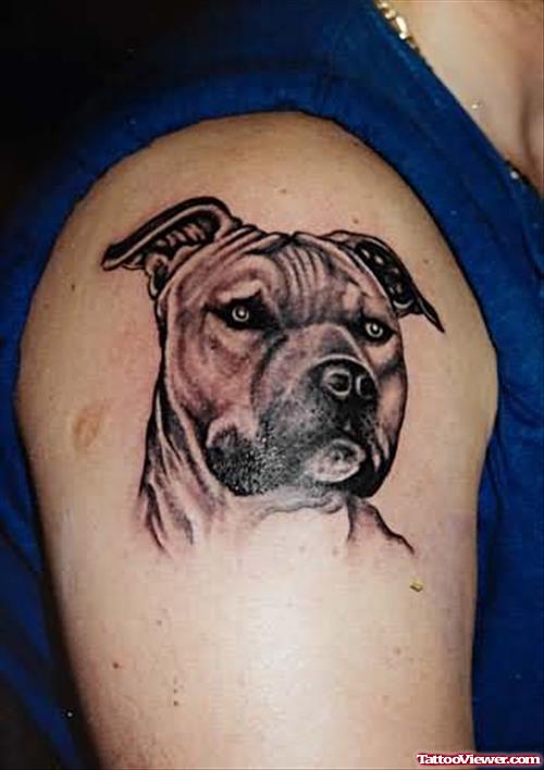 Dog Tattoo Design On Shoulder