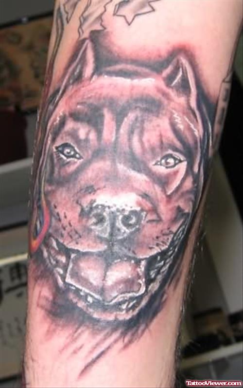 Dog Face Portrait Tattoo