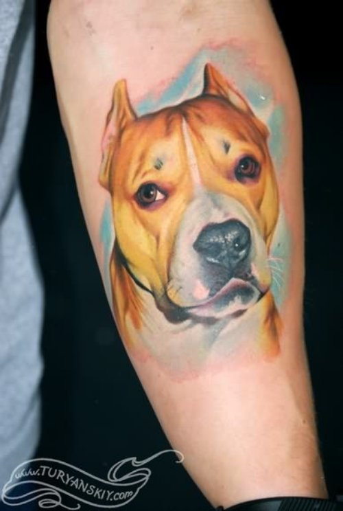 Color Realistic Dog Portrait tattoo