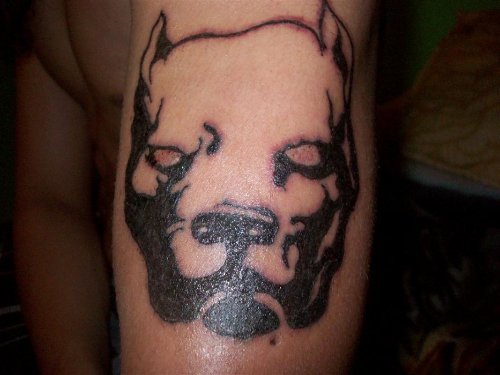 Black Ink Pitbull Dog Tattoo