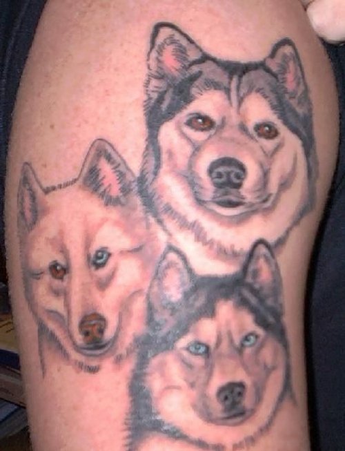 Dog and Wolf Head Tattoos