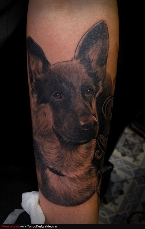 Dog Tattoo On Arm