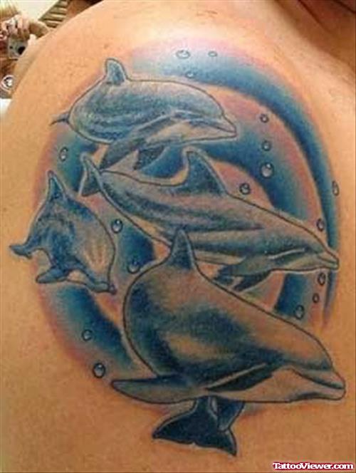 Swiming Dolphins Tattoo