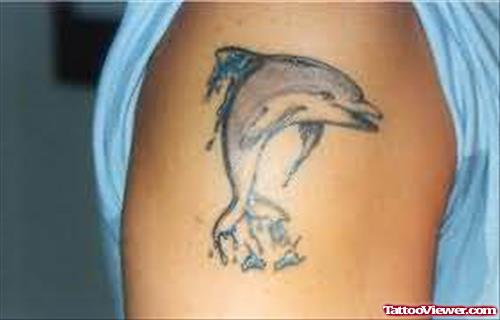 Naughty Dolphin Tattoo