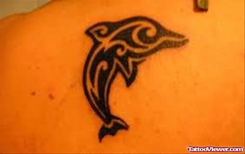 Latest Dolphin Tattoo On Back