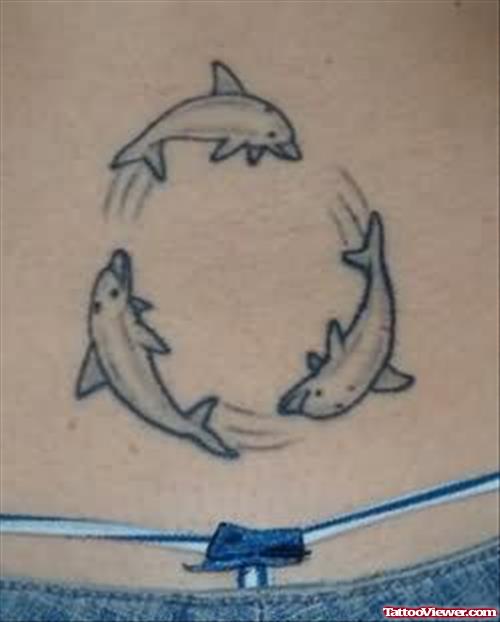 Dolphin Tattoos Image