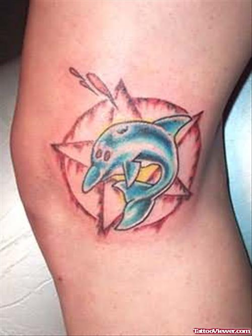 Dolphin Tattoos For Body