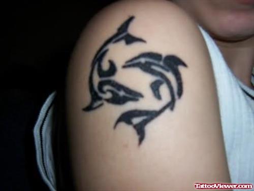 Black Dolphin Tattoos On Shoulder