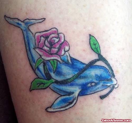 Women Dolphin Tattoo Latest Pattern