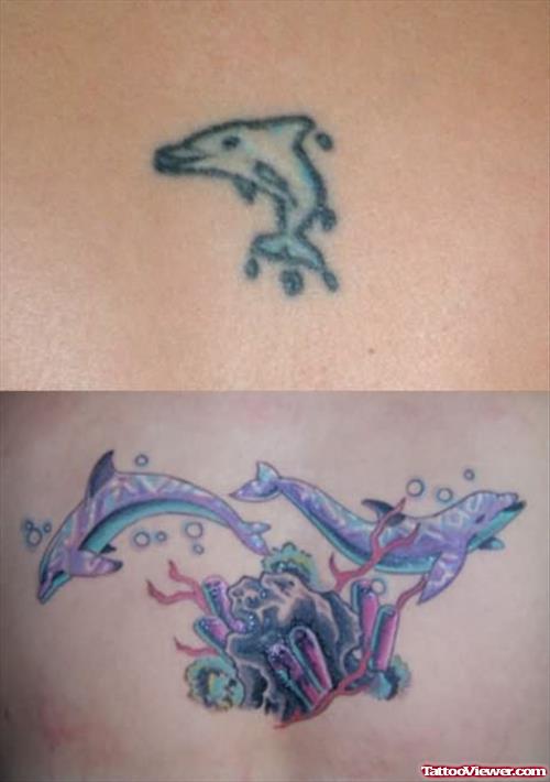 Snall Dolphin Tattoo Designs