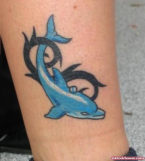 Dolphin Tattoo On leg