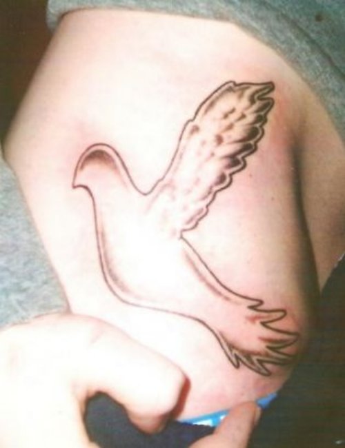 Girl With Dove Tattoo