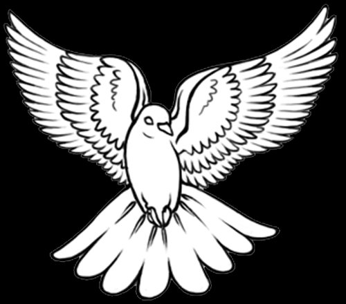 White Flying Dove Tattoo Design